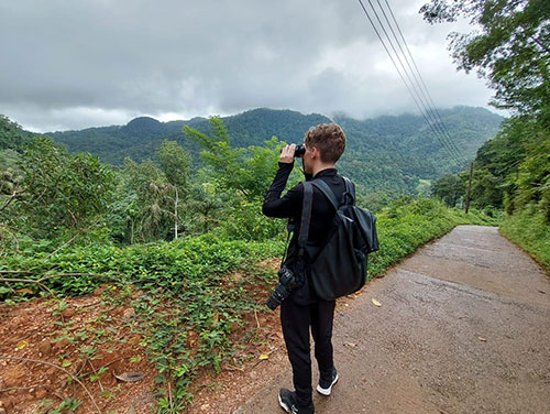a vibrant bird perched in the forests of kitulgala during a Kitulgala adventure tours