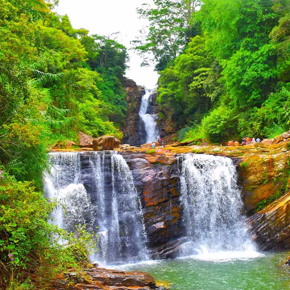 Thrill-seekers trekking through dense forest trails to reach a majestic waterfall trekking in nawalapitiya
